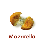 Mozarella